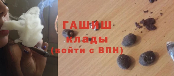 СК Инта